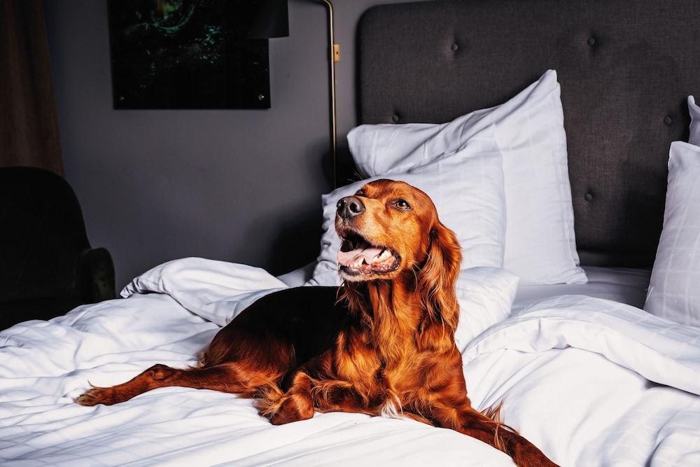 Hotell Soedra Berget サンドベイル エクステリア 写真